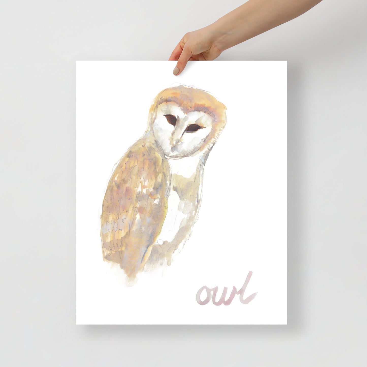 Moonlight Owl. Fine Art Print