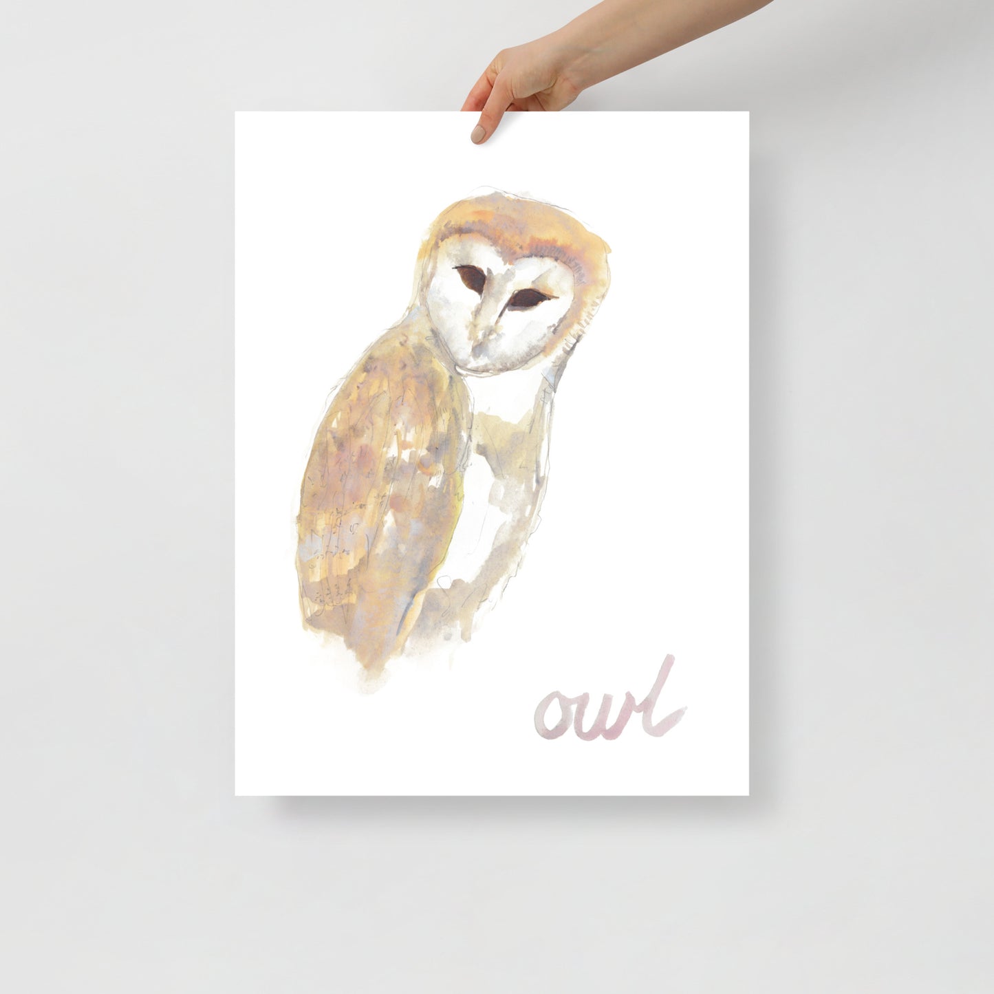 Moonlight Owl. Fine Art Print